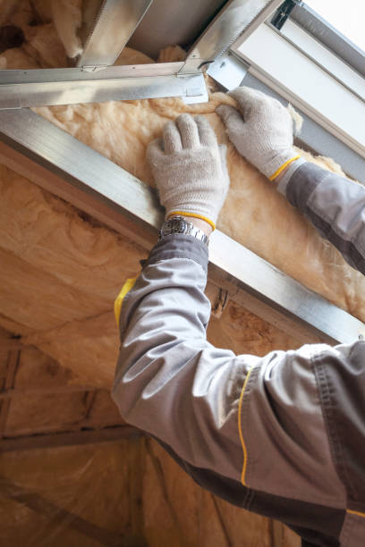Best Insulation Contractor Near Me  in Newtown, PA
