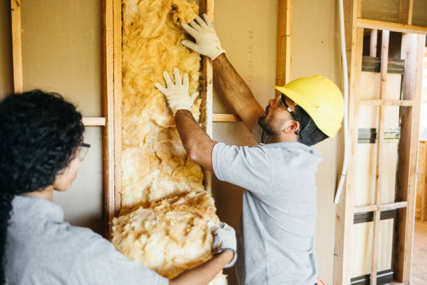 Best Local Insulation Services  in Newtown, PA