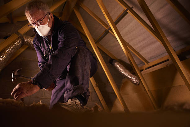 Best Professional Insulation Contractor  in Newtown, PA